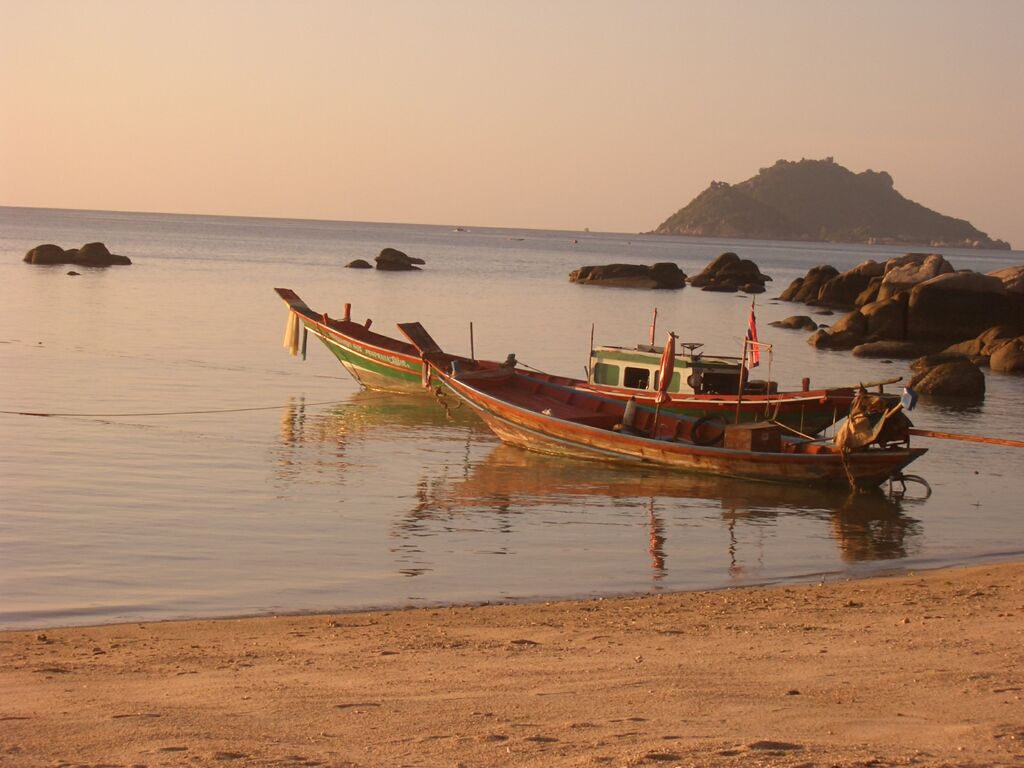 Click to See Next Image